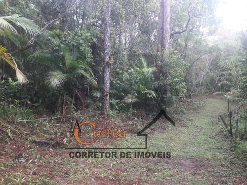 Terreno Com Nascente E Boa Topografia Em Juquitiba-sp