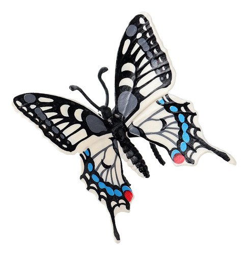 Mariposa Modelo Animal Cola De Golondrina Mariposa Ciencia