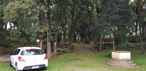 Imagem 2 de 14 de Terreno - Sao Ciro - Ref: 7612 - V-7612