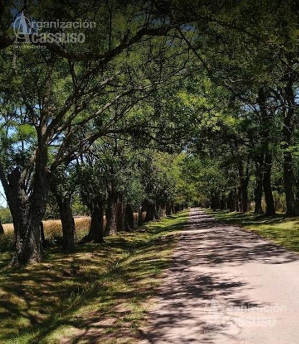 Imagen 2 de 8 de Chacra - Carmen De Areco