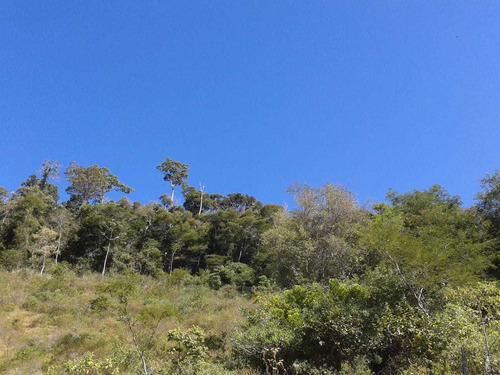 Imagem 4 de 11 de Fazenda Rj Morangaba/imbé