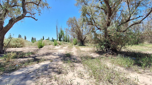 Finca-terreno En Venta En Guaymallén Pozo Surgente De Agua Apta Para Consumo