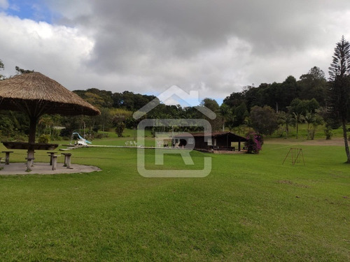 Imagem 10 de 30 de Excelente Sitio Com Topografia Plana, Rico Em Aguá - 12 - 69839868