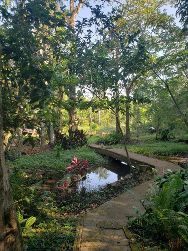 Imagem 11 de 25 de Ch0001-chácara A Venda Com 6100m² No Jardim Polônia -foz Do Iguaçu-pr. - Ch0001