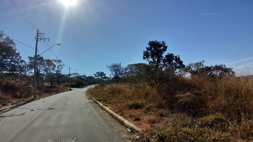 Imagem 13 de 15 de Lote Para Venda Em Lagoa Santa, Vila Dos Ipês - Lote58_1-2141063
