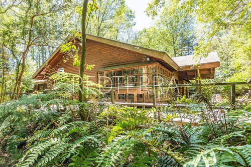 Imagen 3 de 15 de Preciosa Casa En Pucon