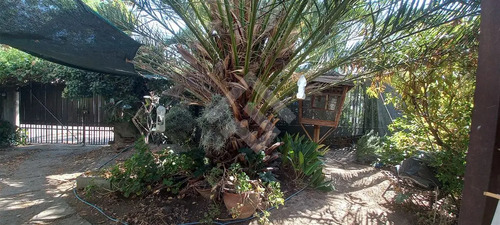 Sitio En Venta En Sector Tranquilo La Reina
