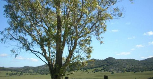 Campo En Cerros Del Penitente Ref. 2509