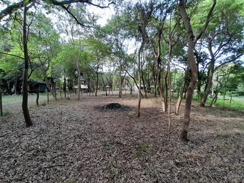 Vendo Pequeño Bosque Sobre El Río Corriente En La Ciudad De Esquina!!!!