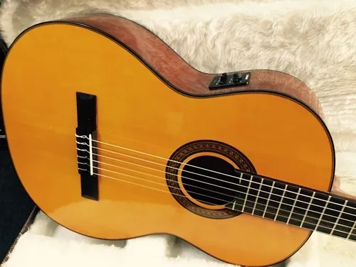 Takamine top g 124