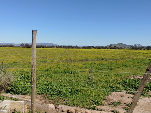 Terreno De 5000m2 A 15 Mntos De Ovalle