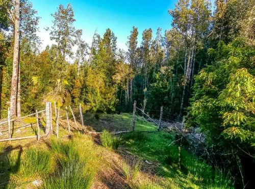 Queilen, 2,8 Ha, Apeche Bajo (121069)