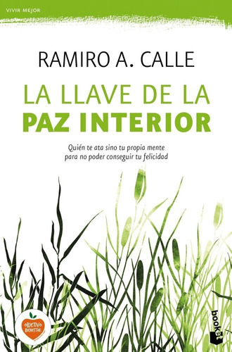 La Llave De La Paz Interior - Calle Ramiro (libro)