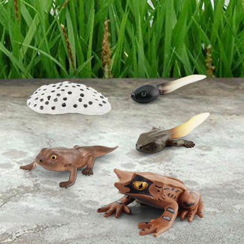 3 Figuritas De Animales Realistas Modelo De De Ranas Estilo