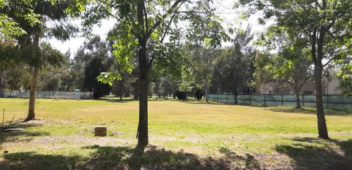 Imagen 3 de 4 de Lote En Venta En Miralagos