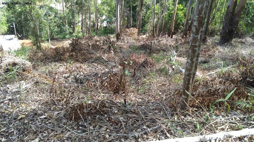 Imagem 3 de 5 de Terreno Para Venda Em Teresópolis, Prata - Te015_2-1230429