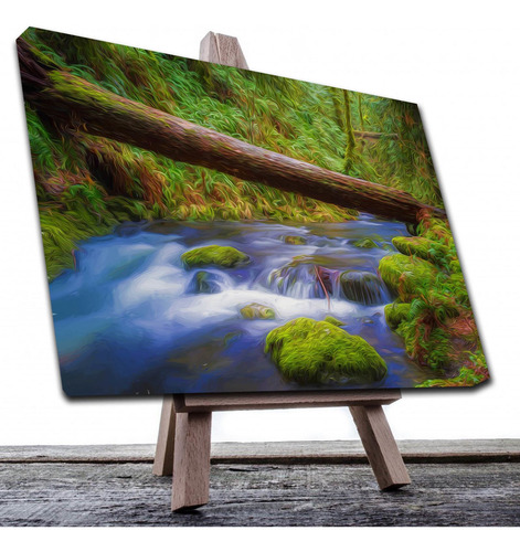 Cuadro Decorativo Canvas Paisaje De Rio En El Bosque