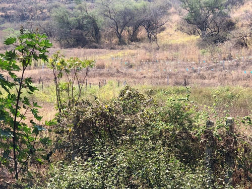 Imagen 5 de 6 de Oportunidad Compra Terreno A 5 Km Del Lago De Tequesquitengo