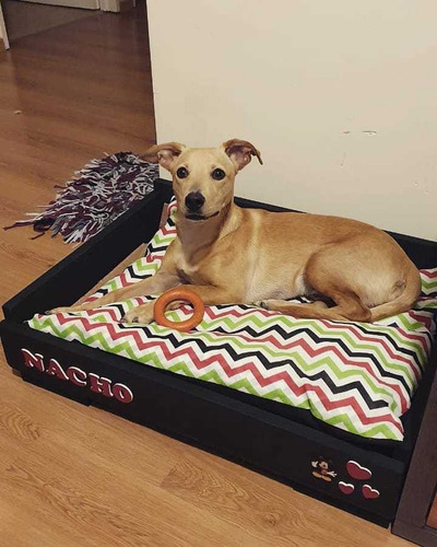 Imagen 4 de 4 de Mi Guardería Canina. Funciona En Mi Casa. En Familia