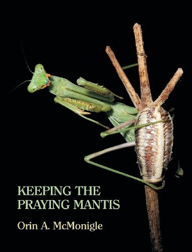 Keeping The Praying Mantis Mantodean Captive Biology, Reprod