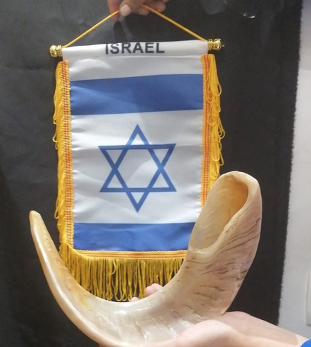 Shofar  Ceremonial Judio- Extragrande- Carnero Original (44)