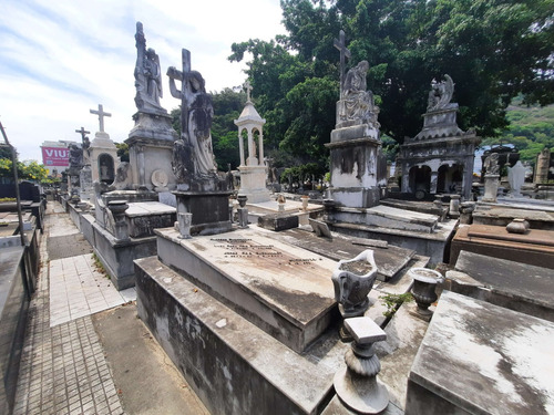 Vendo Jazigo Perpétuo No Cemitério São João Batista, Ótima Localização, Bela Escultura E Adornos