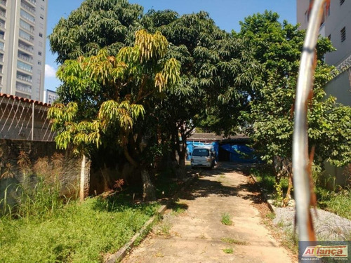 Imagem 7 de 10 de Lote À Venda, Vila Milton, Guarulhos - Te0127. - Ai3665