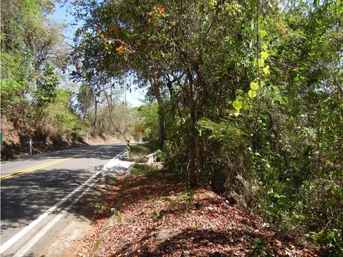 Venta Lotes Con O Sin Casa, Agua, Luz, Klm 15 Via Minca