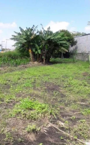 Terreno De 2.000m2 Próximo Ao Aeroporto De Cumbica