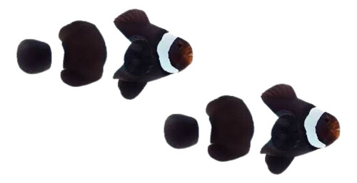 Peixe Palhaço Black Ocellaris - 2 Peixes