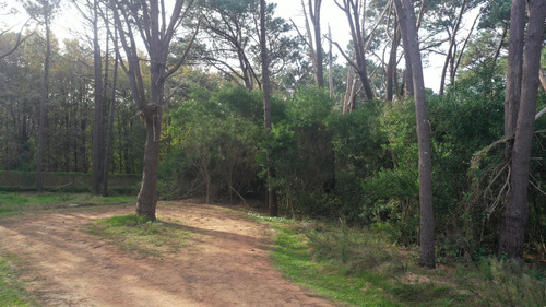 Terreno En Reserva Montoya