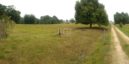 Terreno Em Hípica - El56356254