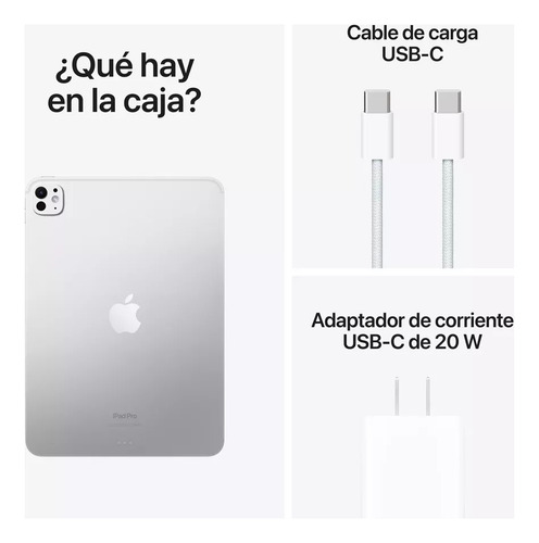 Apple iPad Pro 11 8 Gb Ram 256 Gb Plata
