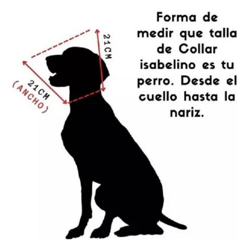 Collar Isabelino Recuperación 10 Cm Xs Perro Gato