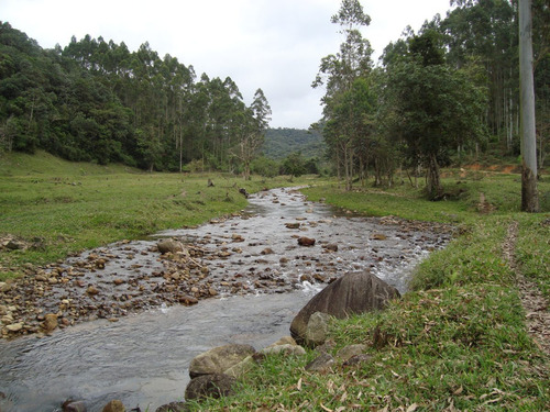 Imagem 14 de 14 de Terreno - Cachoeiras Do Amâncio - Biguaçu - Sc