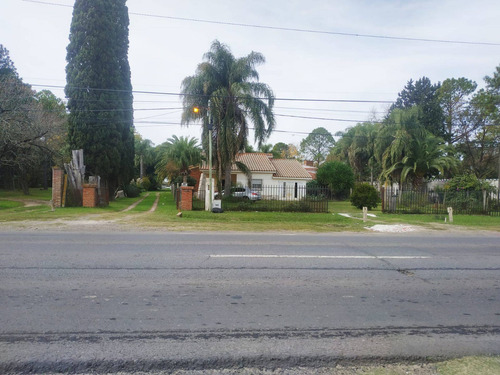 Imagen 7 de 24 de Se Vende 1ha. Con 3 Casas Sobre Ruta 11 Km 450