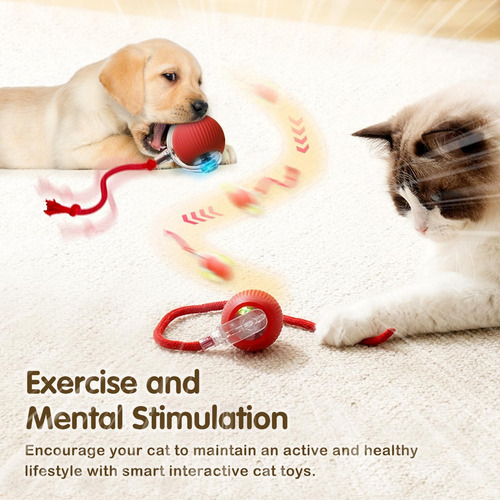 Genérico 360° Smart Ball, Interactive Cat Dog Toys Ball