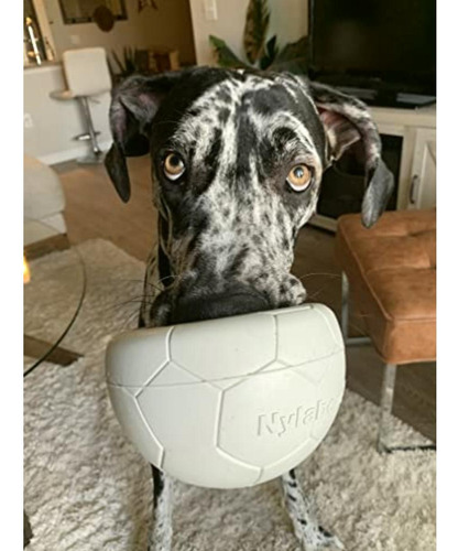 Nylabone Juguete Power Play Soccer Ball