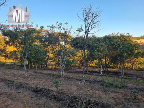 Imagem 23 de 30 de Ótima Chácara Com 4 Dormitórios, Edícula, Salão De Jogos, Pomar, Horta, Bem Localizada, À Venda, 5000 M² Por R$ 630.000 - Zona Rural - Pinhalzinho/sp - Ch0984
