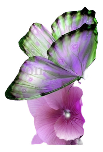 Mariposa Flores Bordado 5d Diamante Bricolaje Pintura Cruz P