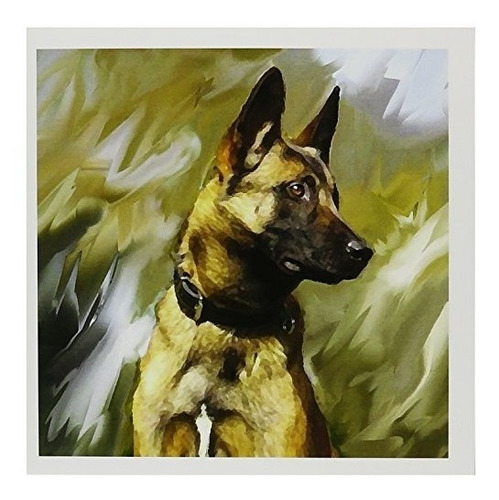 3drose Belgian Malinois Greeting Cards 6 X 6 Inches