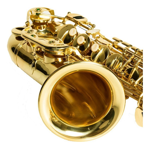 Saxofón Alto Aureal Eb Laqueado Aas1 Alta Calidad, Kit