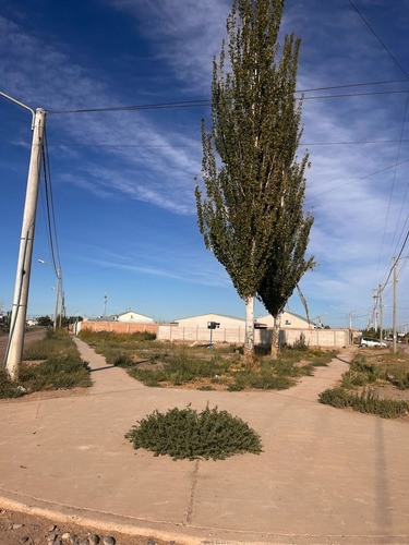 Venta De Terreno En Cipolletti