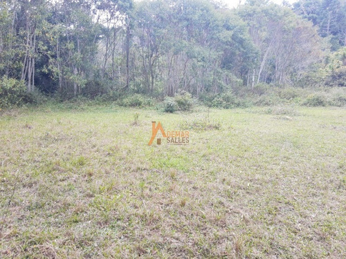 Imagem 4 de 30 de Sitio - St00050 - 68459069