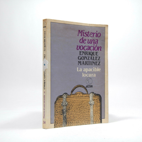 Misterio De Una Vocación Enrique G Martínez 1985 Bc2