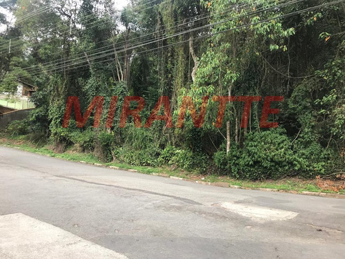 Imagem 2 de 5 de Terreno Em Serra Da Cantareira - São Paulo, Sp - 320719