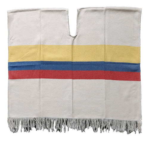 Imagen 1 de 6 de Poncho Paisita Bandera