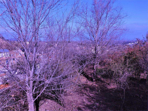 Imagen 3 de 15 de Vendo Terreno Con Hermosa Vista Al Pie De Las Sierras