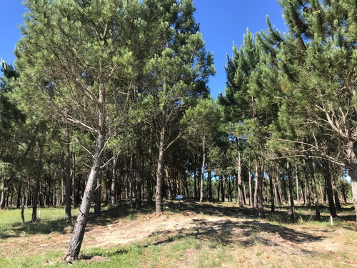Imagen 6 de 9 de En Venta - Los Zorzales - Loteo De 30 Solares - Mza 423