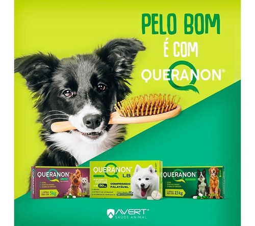 Queranon Lb Avert Pele Pelagem Cães Até 30kg 30 Comprimidos